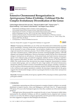 Extensive Chromosomal Reorganization in Apistogramma Fishes (Cichlidae, Cichlinae) Fits the Complex Evolutionary Diversiﬁcation of the Genus