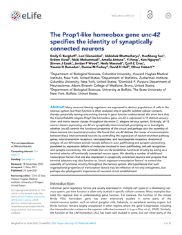 The Prop1-Like Homeobox Gene Unc-42 Specifies the Identity Of