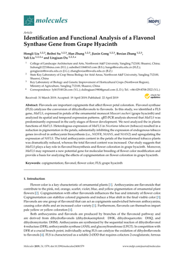 Identification and Functional Analysis of a Flavonol Synthase Gene from Grape Hyacinth