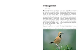 Birding in Iran
