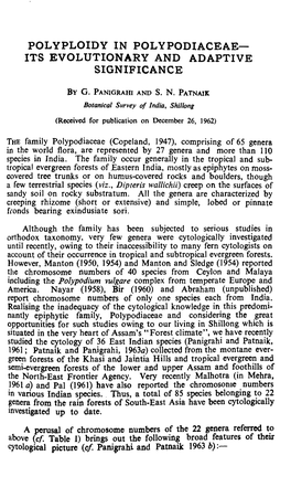 Polyploidy in Polypodiaceae— Its Evolutionary and Adaptive Significance