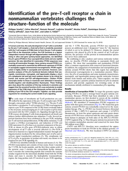 Identification of the Pre–T-Cell Receptor Α Chain in Nonmammalian