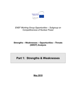 SWOT Analysis