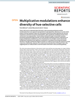 Multiplicative Modulations Enhance Diversity of Hue-Selective Cells Paria Mehrani✉, Andrei Mouraviev & John K