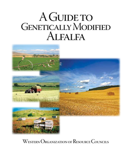 WORC's Guide to Genetically Modified Alfalfa