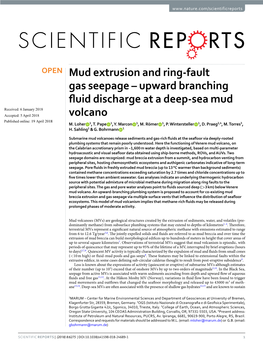 Upward Branching Fluid Discharge at a Deep-Sea Mud Volcano