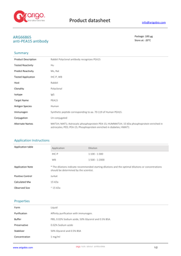 Anti-PEA15 Antibody (ARG66865)