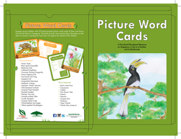 Picture Word Cards Picture Word Engage Young Children with 30 Hand Painted Picture Word Cards of Flora and Fauna That Can Be Found in Singapore
