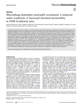 Macrophage-Dependent Neutrophil Recruitment Is Impaired Under Conditions of Increased Intestinal Permeability in JAM-A-Deﬁcient Mice