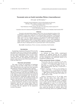 Taxonomic Notes on South Australian Ptilotus (Amaranthaceae) T.R