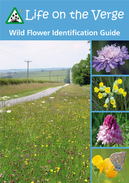 Wild Flower Identification Guide This Booklet… Is Designed to Help Volunteers Identify Wild Flowers on Road Verges As Part of the Life on the Verge Survey