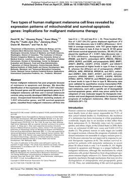 Two Types of Human Malignant Melanoma Cell Lines Revealed By