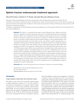 Splenic Trauma: Endovascular Treatment Approach