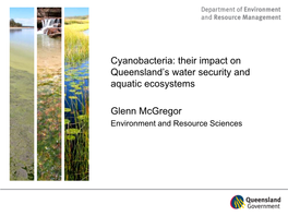 Cyanobacteria: Their Impact on Queensland’S Water Security and Aquatic Ecosystems