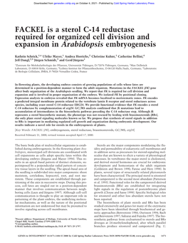 FACKEL Is a Sterol C-14 Reductase Required for Organized Cell Division and Expansion in Arabidopsis Embryogenesis