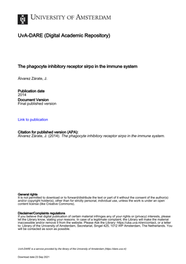 Sirpα in the Immune System