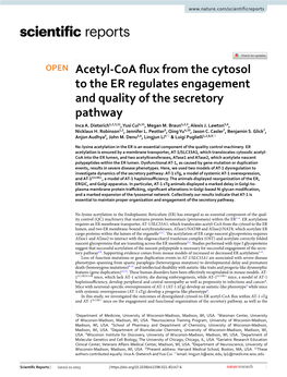 Acetyl-Coa Flux from the Cytosol to the ER Regulates Engagement And