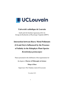 Interaction Between Heavy Metal Pollutants (Cd and Zn) Is Influenced by the Presence of Salinity in the Halophyte Plant Species Kosteletzkya Pentacarpos