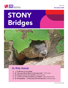 STONY Bridges