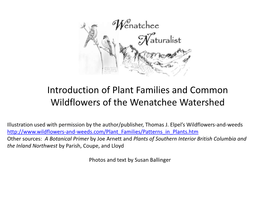 Introduction of Plant Families and Common Wildflowers of the Wenatchee Watershed