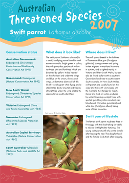 Swift Parrot Lathamus Discolor2007