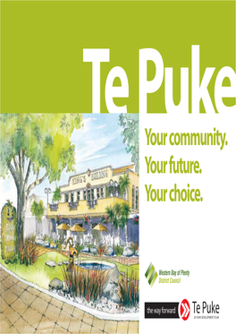 Te Puke Community Development Plan