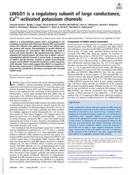 LINGO1 Is a Regulatory Subunit of Large Conductance, + Ca2 -Activated Potassium Channels