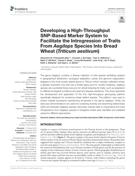 Developing a High-Throughput SNP-Based Marker System to Facilitate the Introgression of Traits from Aegilops Species Into Bread Wheat (Triticum Aestivum)