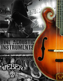 Webermandolins.Com