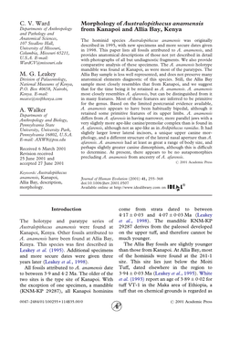 Morphology of Australopithecus Anamensis from Kanapoi and Allia Bay, Kenya