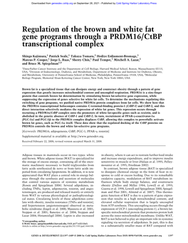 Regulation of the Brown and White Fat Gene Programs Through a PRDM16/Ctbp Transcriptional Complex