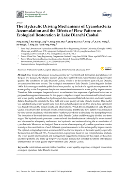 The Hydraulic Driving Mechanisms of Cyanobacteria Accumulation and the Effects of Flow Pattern on Ecological Restoration in Lake Dianchi Caohai