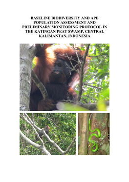 Baseline Biodiversity and Ape Population Assessment and Preliminary Monitoring Protocol in the Katingan Peat Swamp, Central Kalimantan, Indonesia