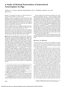 A Study of Retinal Penetration of Intravitreal Tenecteplase in Pigs