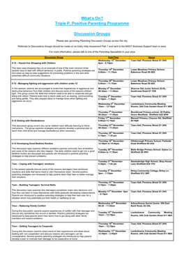 Triple P, Positive Parenting Programme Discussion Groups