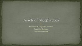 Assets of Sheep's Dock