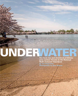 Under Water: the National Mall's Tidal Basin