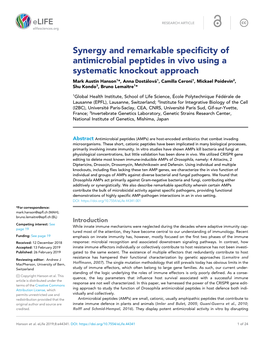 Synergy and Remarkable Specificity of Antimicrobial Peptides in Vivo