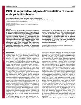 PKB Is Required for Adipose Differentiation of Mouse Embryonic