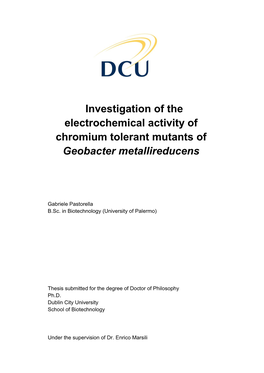 Investigation of the Electrochemical Activity of Chromium Tolerant Mutants of Geobacter Metallireducens