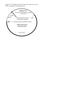 Figure S1. Simplified Map of the Bacterial Expression Vector. IPTG, Isopropyl Β‑D‑Thiogalactoside