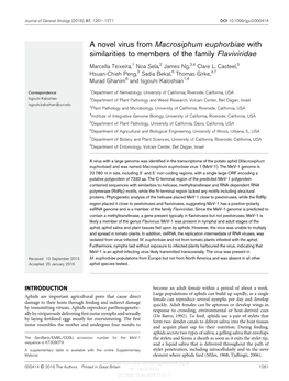 A Novel Virus from Macrosiphum Euphorbiae with Similarities to Members of the Family Flaviviridae Marcella Teixeira,1 Noa Sela,2 James Ng,3,4 Clare L