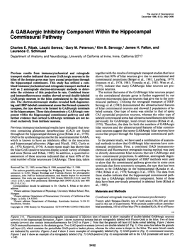 A Gabaergic Inhibitory Component Within the Hippocampal Commissural Pathway