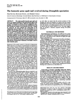 The Homeotic Gene Spalt (Sal) Evolved During Drosophila Speciation