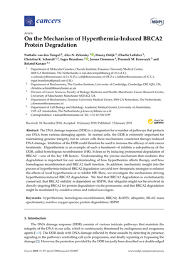 On the Mechanism of Hyperthermia-Induced BRCA2 Protein Degradation