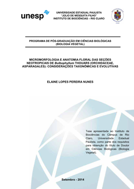 MICROMORFOLOGIA E ANATOMIA FLORAL DAS SEÇÕES NEOTROPICAIS DE Bulbophyllum THOUARS (ORCHIDACEAE, ASPARAGALES): CONSIDERAÇÕES TAXONÔMICAS E EVOLUTIVAS