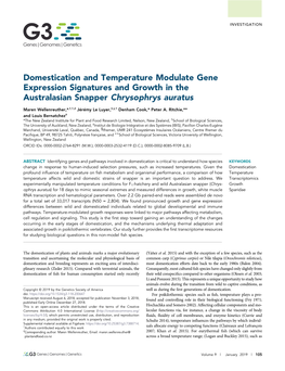 Domestication and Temperature Modulate Gene Expression Signatures and Growth in the Australasian Snapper Chrysophrys Auratus