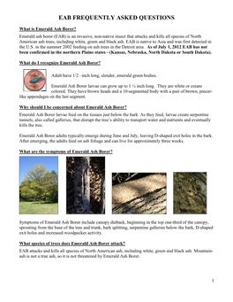 Emerald Ash Borer