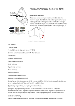 Hyridella) Depressa (Adult Size Approximately 55-75 Mm