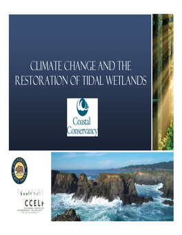 Climate Change and the Restoration of Tidal Wetlands